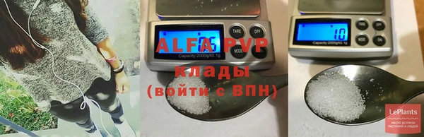 хмурый Липки