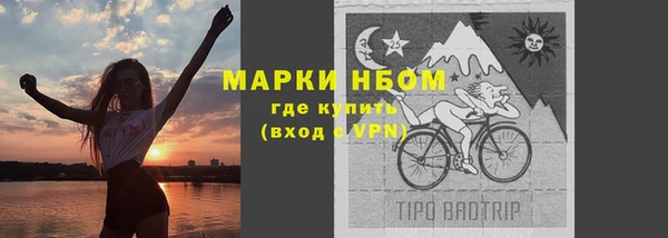 хмурый Липки