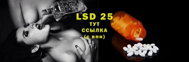 хмурый Липки