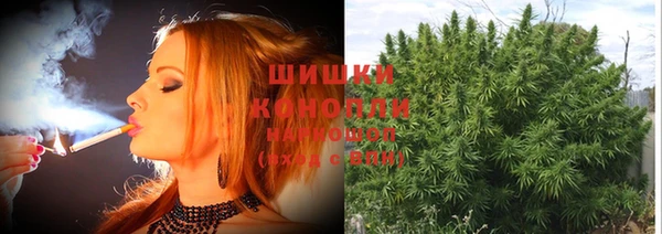 гашик Лихославль