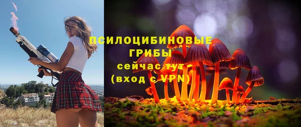 меф Майский