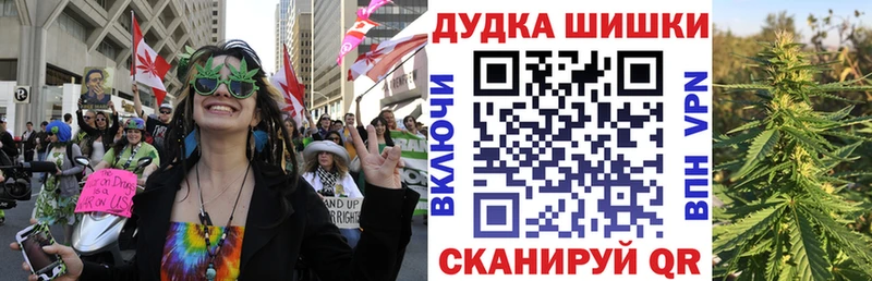 Бошки Шишки тримм  Чадан 